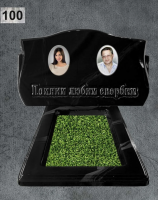 Памятник № 100
