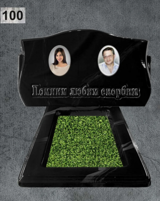 Памятник № 100